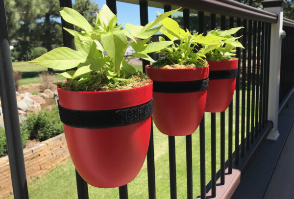 container gardens hanging on railing - red