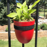 Single red planter attached to a black railing with a black strap. Planted with sweet potato vine