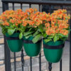 Three forest green hanging planters with orange kalanchoe plants