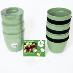 Sets of sage green garden pots with contents