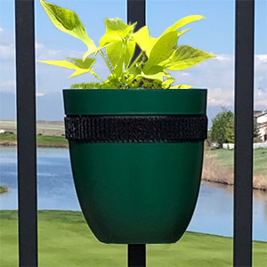 Forest green railing planter with a sweet potatoe vine on a golf course